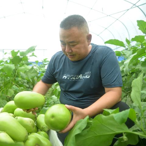 为什么河南如此多的天灾