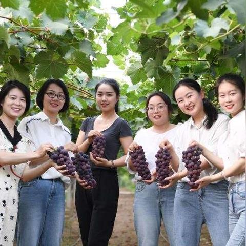 合肥大圩镇最新规划相关长尾关键词有哪些