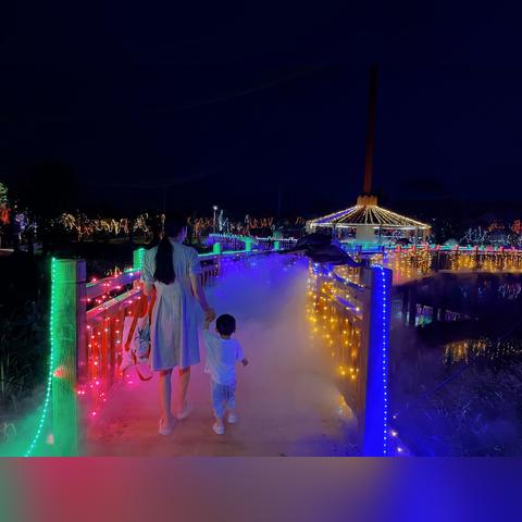 为什么说武汉市是浣熊市