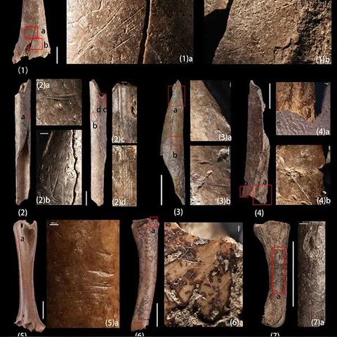 长沙市2a4b哪个学校最好