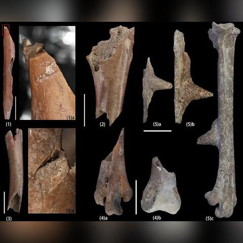 请问湖南长沙2A4B有哪些高中可以读？