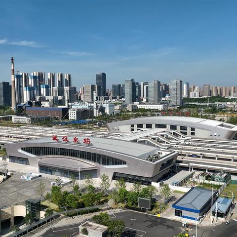 武汉常见植物？