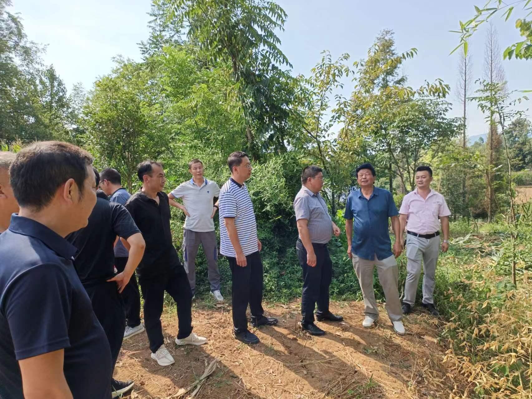 家里手机信号不好怎么解决（但是手机在屋里时信号就只有两格）