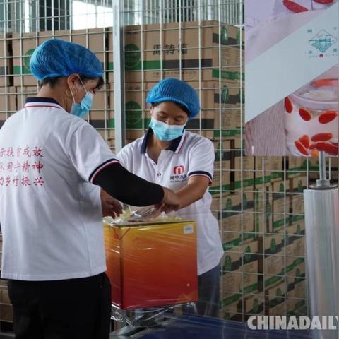 闽宁在宁夏的什么地方？