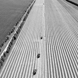 五大池天气预报的长尾关键词有哪些