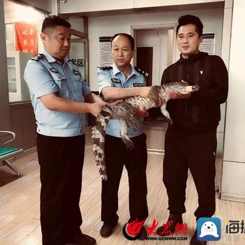 菏泽市有多少公园