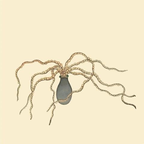 福建led全彩屏价格的相关长尾关键词有哪些