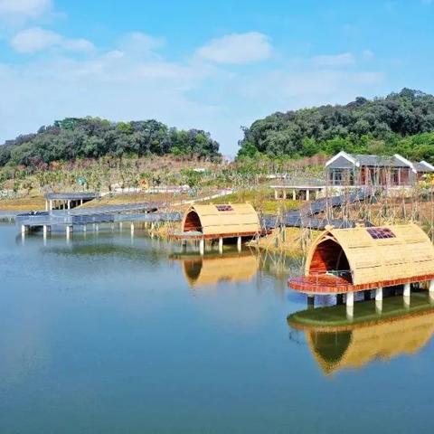 深圳市。从清湖地铁站去深圳东火车站，怎么走？全程要多少时间？
