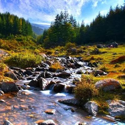 兰州水生鸢尾幼苗供应的相关长尾关键词有哪些