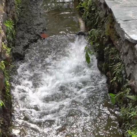 杭州市秋口村在哪个区