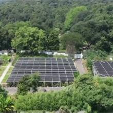 适合杭州种的盆栽的相关长尾关键词有哪些