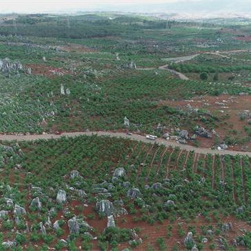 昆明市旮旯美食的长尾关键词有哪些