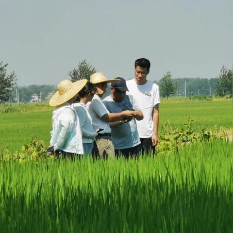 襄州 15天天气预报的长尾关键词有哪些