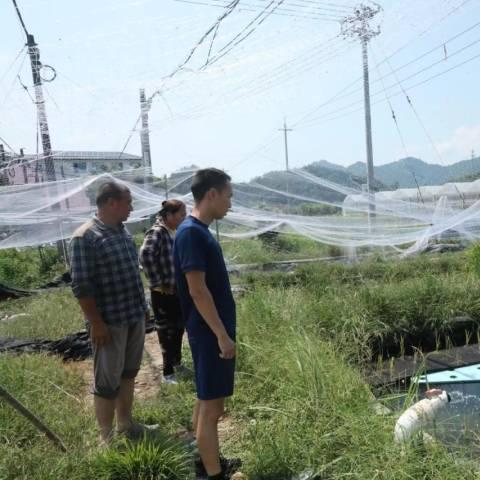 杭州百吨王的相关长尾关键词有哪些