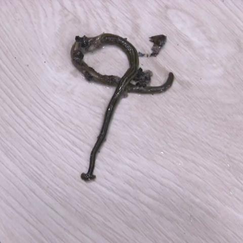 哈尔滨生物考试试卷相关长尾关键词有哪些