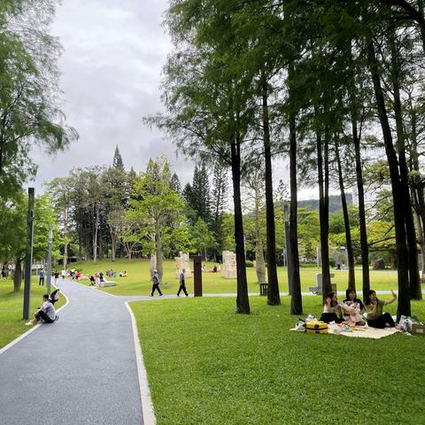 深圳天气怎样多大的风？