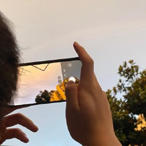 mayfly 蜉蝣（蜉蝣的短暂与美丽）