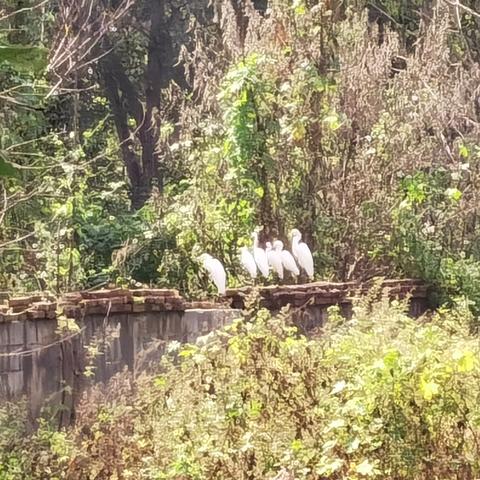 兰州市老砖瓦厂在哪里