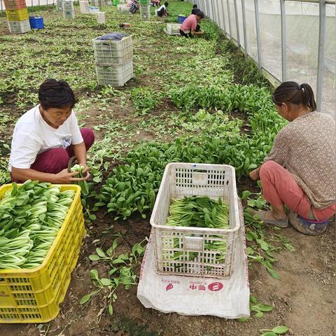 河南铝型材厂家的相关长尾关键词有哪些