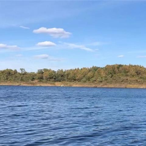 沈阳的大水相关长尾关键词有哪些