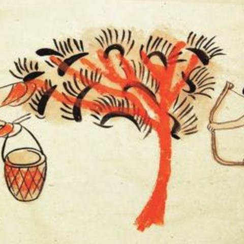 河南养蚕行情怎么样