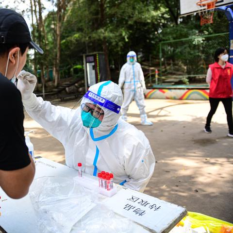 沈阳市核酸检测表怎么填