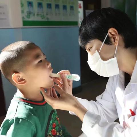 杨宇哈尔滨相关长尾关键词有哪些