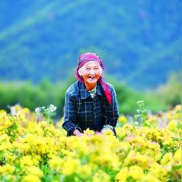 赣州市脱贫攻坚职称的长尾关键词有什么