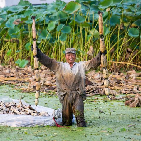 南通如皋无人机培训长尾关键词有什么