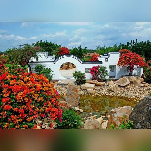 广州马岭观花植物园相关长尾关键词有哪些