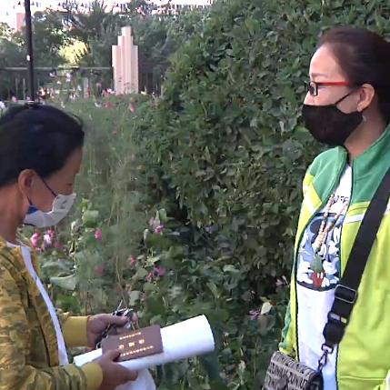 哈尔滨24小时饺子馆相关长尾关键词有哪些