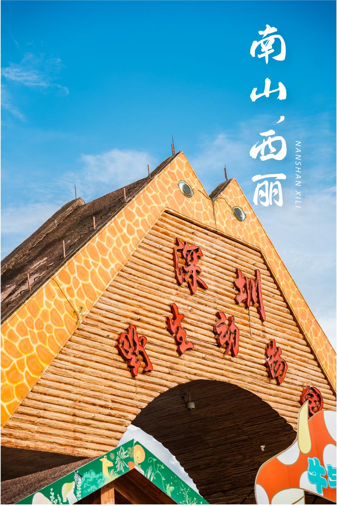 深圳市最新疫情情况
 （深圳市最新疫情情况最新消息）