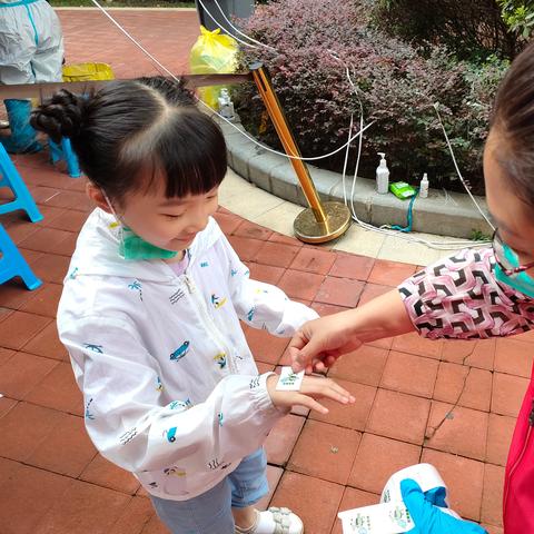 成都市核酸怎么查结果的