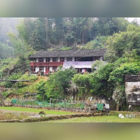 杭州沙县离福建三明市大田县多少公里？