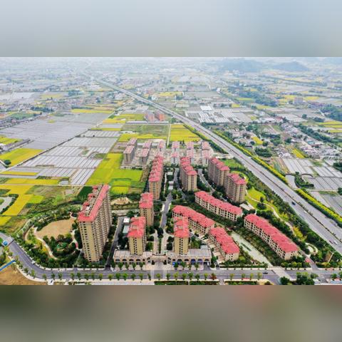 苍南龙港时刻天气预报的长尾关键词有什么