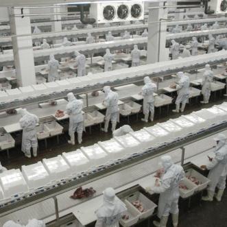 保定市华正机械的长尾关键词有哪些