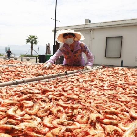 宁波市宁海县特产是什么