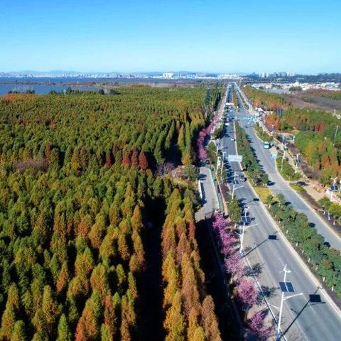 昆明市游泳场馆有哪些的长尾关键词有哪些