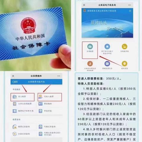 昆明市天然气在哪里交费