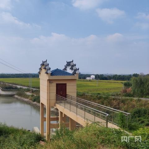 合肥市是哪个县的城市