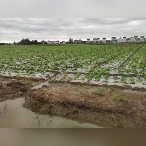 上海透气地膜厂家有哪些