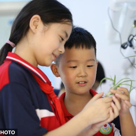 临沂市双河小区的长尾关键词有哪些