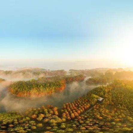 苏州常熟市仿羊绒针织厂的长尾关键词有什么