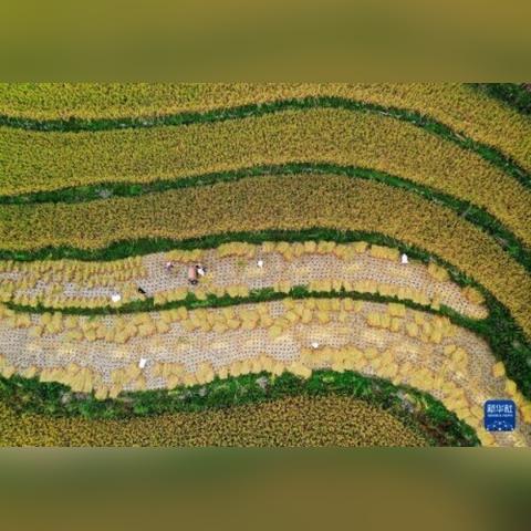 临沂市双龙花园环境的长尾关键词有哪些