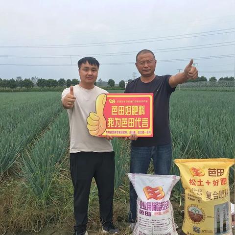 宁波禾丰农资的相关长尾关键词有哪些