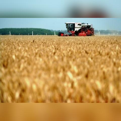 河南省周口市农场的长尾关键词有什么