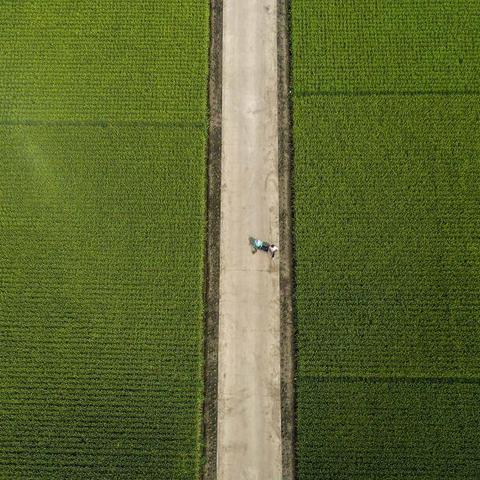 周口市农机市场在哪里