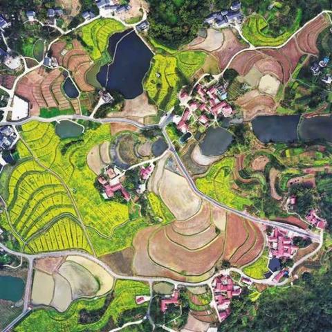 天津稻香公园怎么样