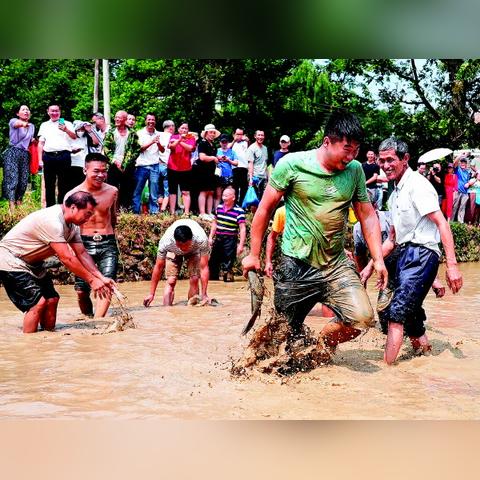 桂林市哪里有松糕卖呀
