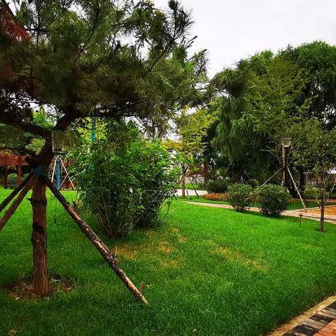 沈阳市哪个体育场有沙坑